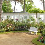 Rosentage_0766