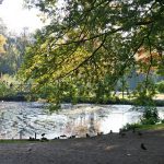 Die Teiche sind verschlammt, das Grün ungepflegt - dennoch ist der Kurpark schön