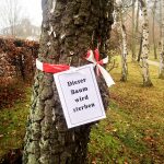 Empörte Bürger markierten die gefährdeten Bäume