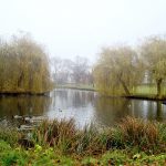 Wenig gepflegt, dennoch schön: der historische Kurpark im Timmendorfer Zentrum