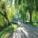 Schöne alte Bäume, eine Brücke über den Teich: seit den 1940er Jahren war der Park ein Schmuckstück im Ort