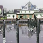 Hier der Plan für die Umgestaltung im Niendorfer Hafen (Entwurf: Marc Schöffel)