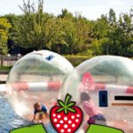 karls_anz_wasserball