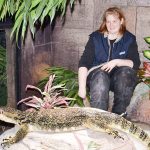 Biologin Cathrin Pawlak kommt ins Schwitzen, aber der Waran fühlt sich im Terrarium bei 30,3 Grad Luft- und 20 Grad Wassertemperatur pudelwohl. Foto: KG