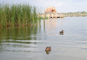 Pure Idylle umgibt die Fischereihof-Anlage in der Gemeinde Hemmelsdorf bei Timmendorfer Strand (Foto: Kartin Gehrke)