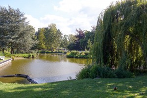 Neu gestaltet, einladend schön: Scharbeutzer Kurpark