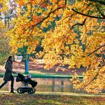 Indian Summer im Travemünder Godewindpark