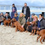 Züchterin Simone Korf mit ihrer Hündin Layla. Zehn ihrer elf vier Monate alten Welpen waren bei Ridgeback-Treffen in Timmendorfer Strand mit dabei. Foto: Katrin Gehrke