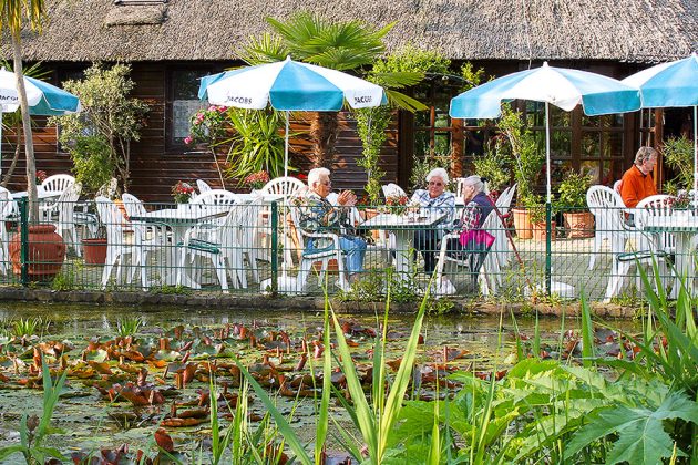 Garantiert das exotischste Café: Im Vogelpark Niendorf erleben Sie Genuss mit Klangkulisse