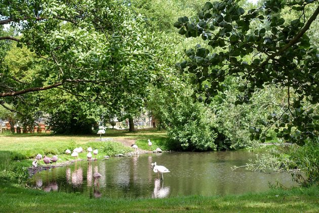 Idylle im Niendorfer Naturschutzgebiet: der Eulen- und Vogelpark bietet Entspannung und Entdeckung seltener Vogelarten.