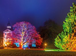 Eutin im weihnachtlichen Lichterzauber Zauberhafte Beleuchtung im Schlosspark: Das Eutiner Schloss ist Mittelpunkt festlicher Momente und winterlichen Aktionen © Wirtschaftsvereinigung Eutin