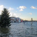 Hochwasser im Hafen: In Niendorf überraschte das neue Jahr mit einem perfekten „Landunter“ © Susanne Dittmann
