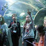 Alle Fische sind schon da: die „Junior Aquaristen“ helfen eifrig beim Zählen im Sea Life