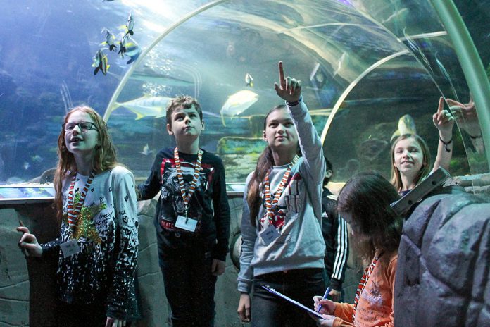 Alle Fische sind schon da: die "Junior Aquaristen" helfen eifrig beim Zählen im Sea Life