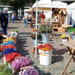 Mit Abstand der schönste Spätsommer-Markt: „Handgemacht“ auf dem Lübecker Marktplatz
