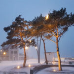 Schneesturm am „Niendorfer Balkon“