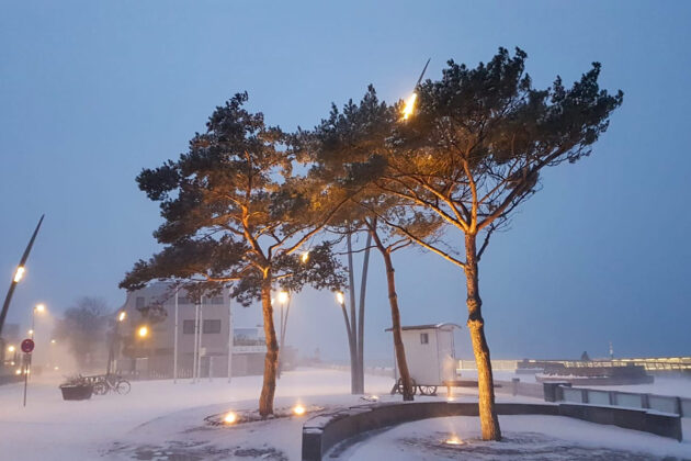 Schneesturm am "Niendorfer Balkon"