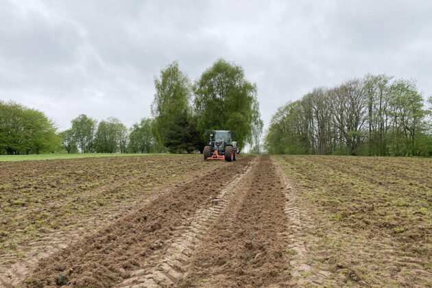 Mit einer Pflanzmaschine, am Trecker befestigt, wurden die Reben eingesetzt.