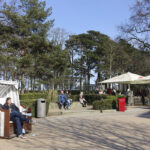 So läßt sich Urlaub richtig genießen: Mit Seebrise im Strandkorb und einem Kaffee „To&nbsp;Go“.