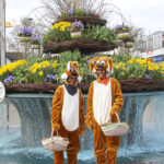 Schön originell mit Tradition: zwei Hasen am Osterbrunnen im Zentrum von Timmendorfer Strand. Foto: TSNT