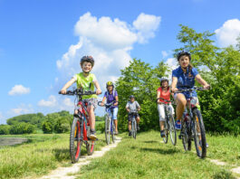 Auf Radtour durch die Natur: Geführte Ausflüge in der Lübecker Bucht
