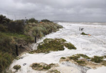 Wellenberge, Wasserschäden: Jahrhundertsturm an der Küste