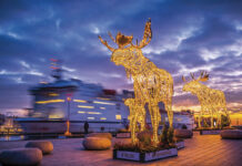 Hier ist das Weihnachtszauber-Programm!