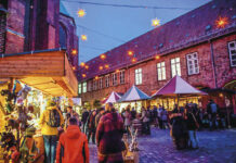 „A Tännchen, please!“ - Tannenbaumverleih beim Lübecker Weihnachtsmarkt
