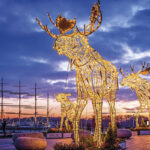 #Trelche im Lichterglanz: Linus, Kalli und Lumi verzaubern als vorweihnachtliche Stammgäste die stimmungsvolle Vorderreihe ©&nbsp;LTM