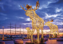 Die #Trelche sagen Tschüss - und die letzte Fackelwanderung startet bald in Travemünde