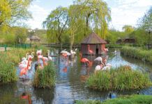 Der Vogelpark Niendorf hat wieder geöffnet!